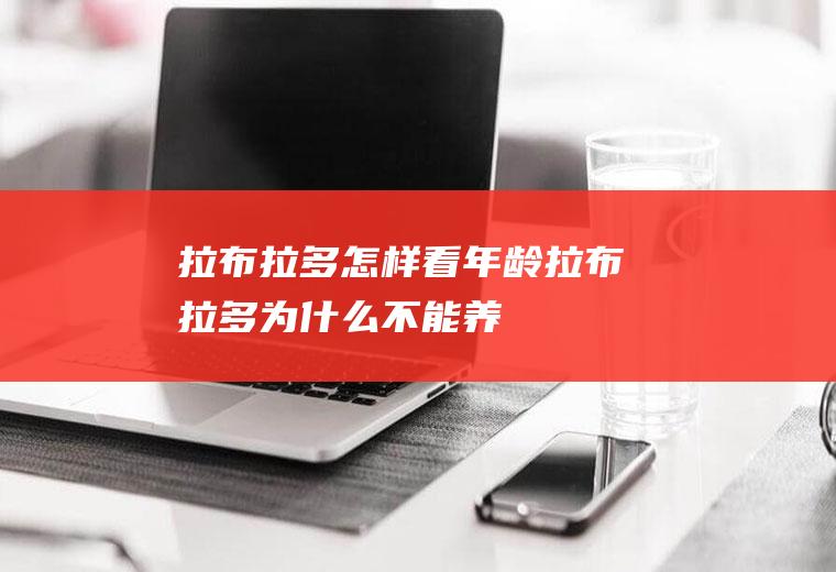 拉布拉多怎样看年龄拉布拉多为什么不能养