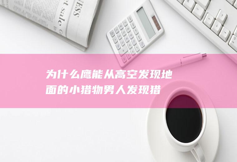 为什么鹰能从高空发现地面的小猎物(男人发现猎物)