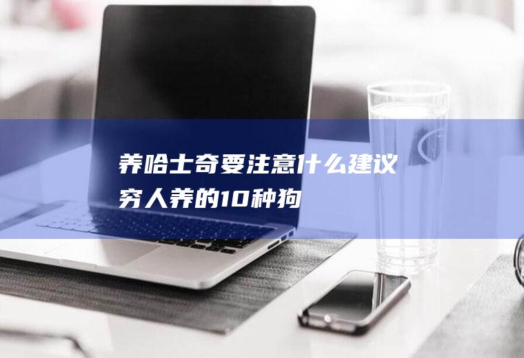 养哈士奇要注意什么(建议穷人养的10种狗)