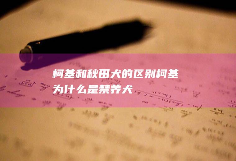 柯基和秋田犬的区别(柯基为什么是禁养犬)