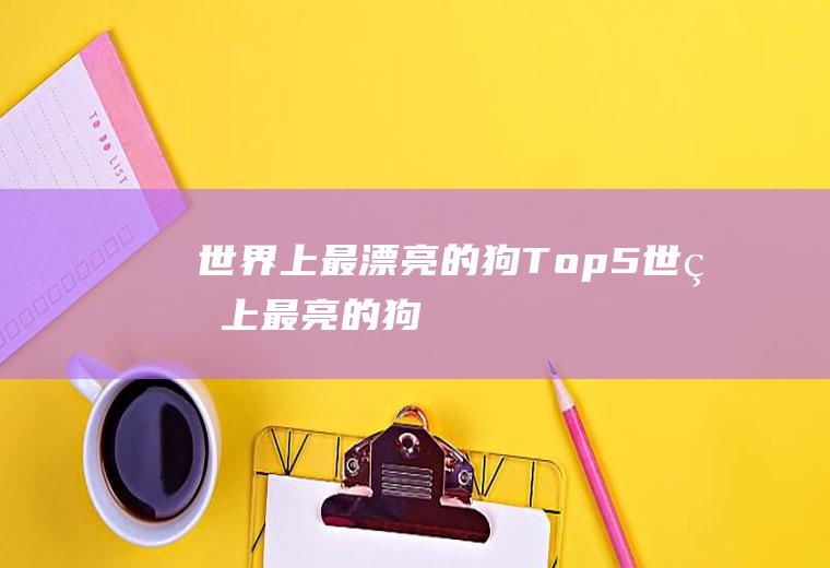 世界上最漂亮的狗Top5(世界上最亮的狗)