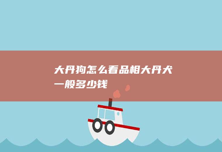 大丹狗怎么看品相(大丹犬一般多少钱)