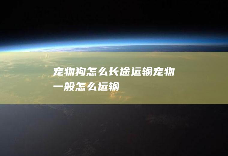 宠物狗怎么长途运输(宠物一般怎么运输)