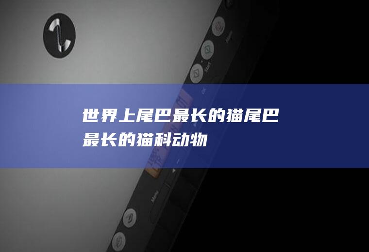 世界上尾巴最长的猫(尾巴最长的猫科动物)
