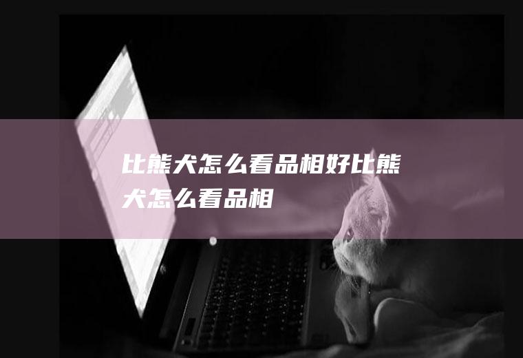 比熊犬怎么看品相好(比熊犬怎么看品相)