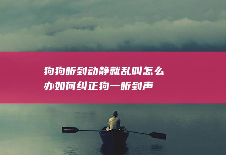 狗狗听到动静就乱叫怎么办(如何纠正狗一听到声音就叫)