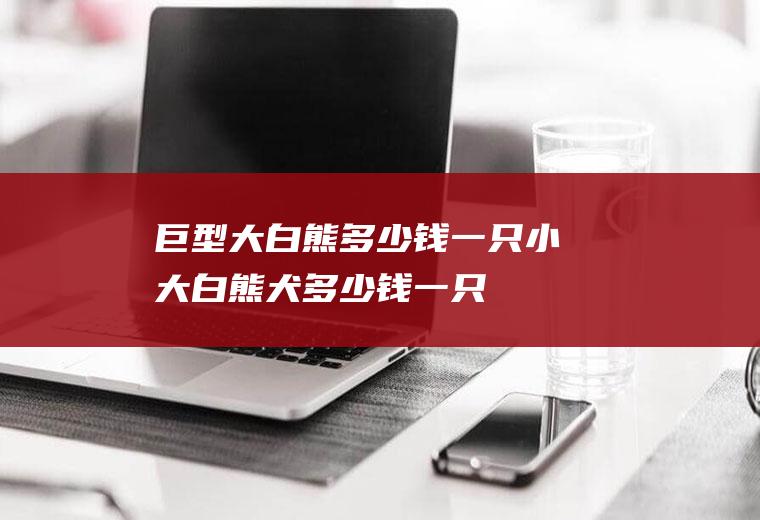 巨型大白熊多少钱一只(小大白熊犬多少钱一只)