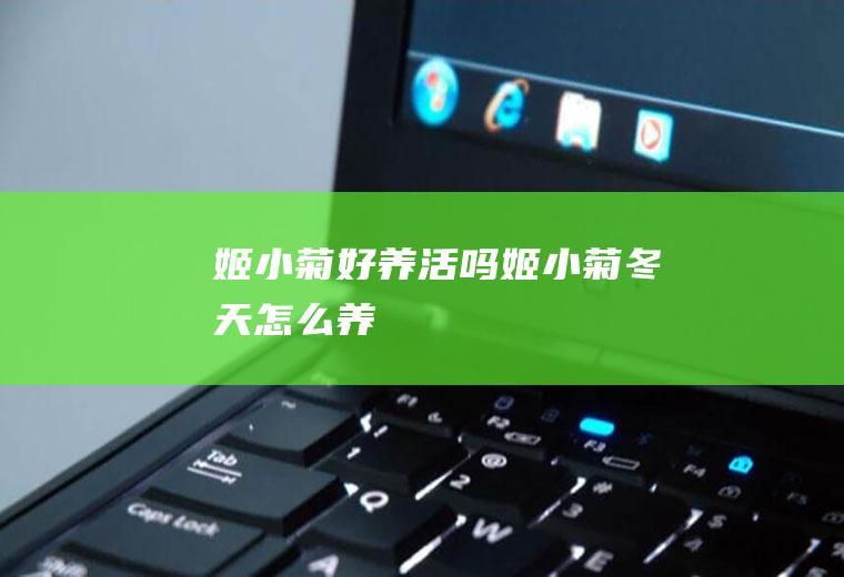 姬小菊好养活吗(姬小菊冬天怎么养)