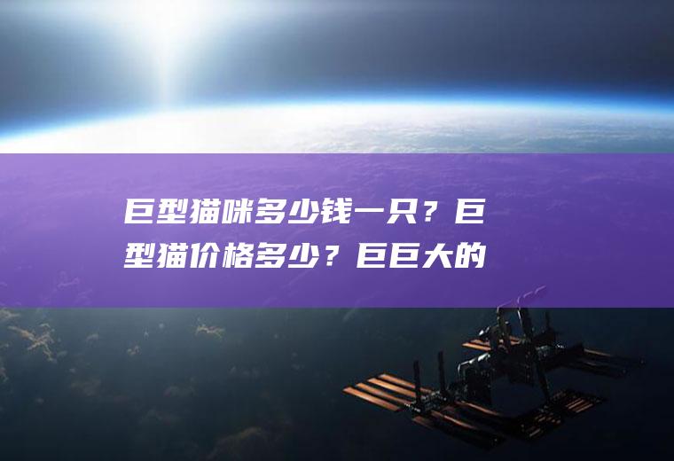 巨型猫咪多少钱一只？巨型猫价格多少？巨巨大的猫咪多少钱一只？巨型猫的价钱是多少呢？今天就让我们一起来看看吧!