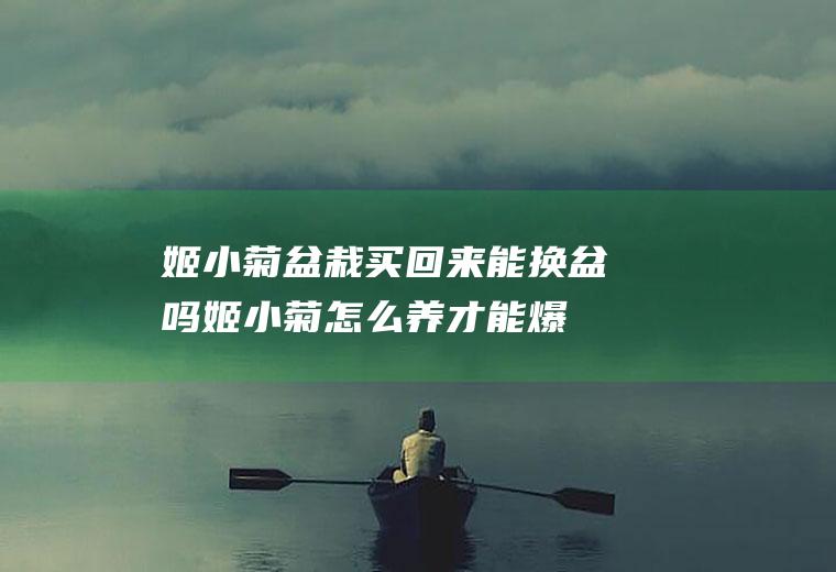 姬小菊盆栽买回来能换盆吗(姬小菊怎么养才能爆盆)