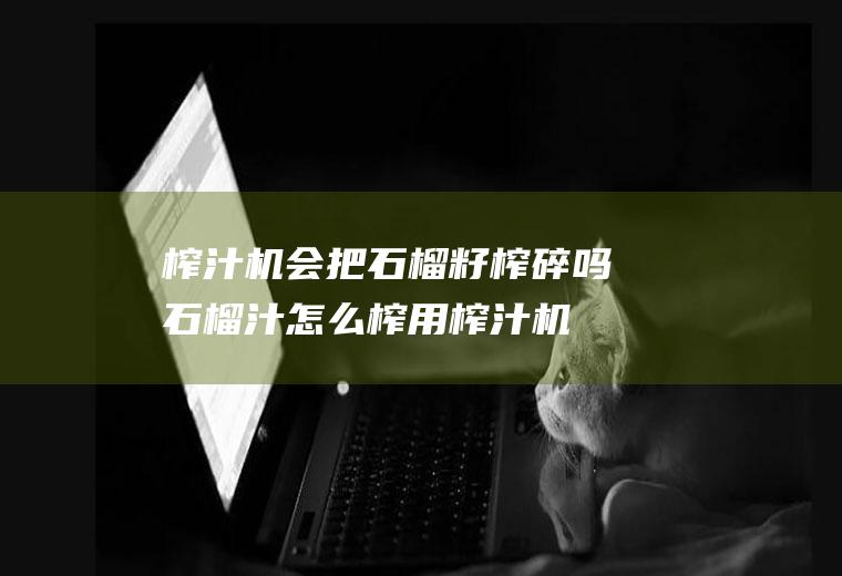 榨汁机会把石榴籽榨碎吗(石榴汁怎么榨用榨汁机需要去籽吗)