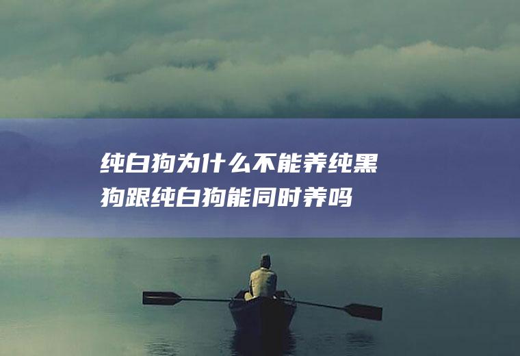 纯白狗为什么不能养(纯黑狗跟纯白狗能同时养吗)
