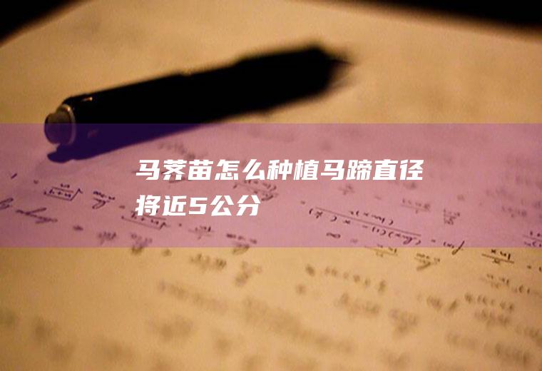 马荠苗怎么种植（马蹄直径将近5公分）