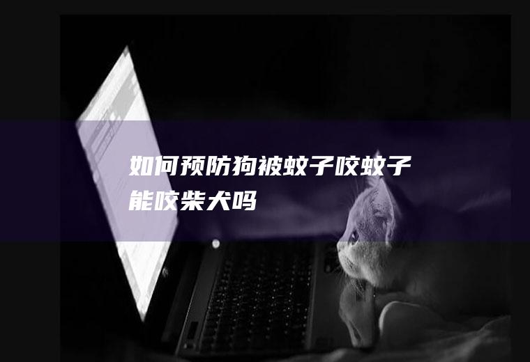 如何预防狗被蚊子咬(蚊子能咬柴犬吗)
