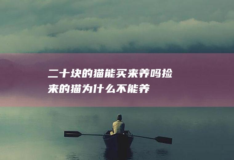 二十块的猫能买来养吗(捡来的猫为什么不能养)
