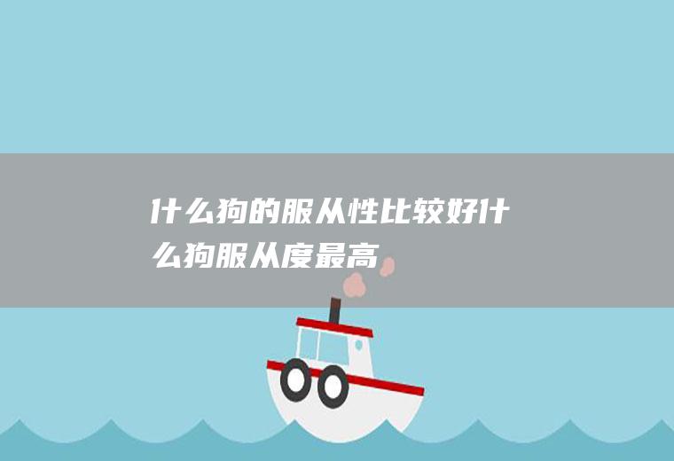 什么狗的服从性比较好(什么狗服从度最高)