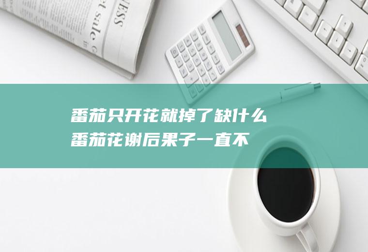 番茄只开花就掉了缺什么(番茄花谢后果子一直不长)