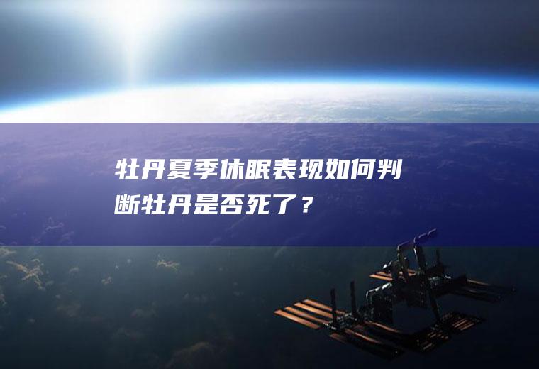 牡丹夏季休眠表现,如何判断牡丹是否死了？