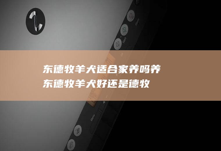 东德牧羊犬适合家养吗(养东德牧羊犬好还是德牧好)