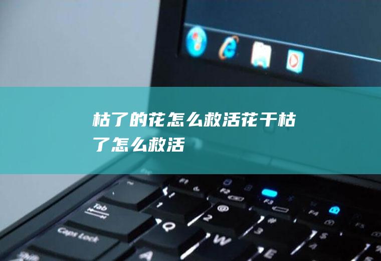 枯了的花怎么救活(花干枯了怎么救活)