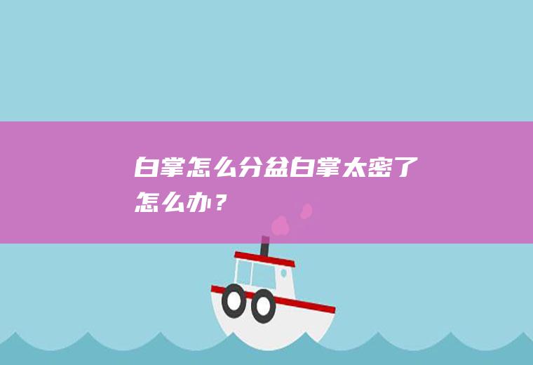 白掌怎么分盆,白掌太密了怎么办？