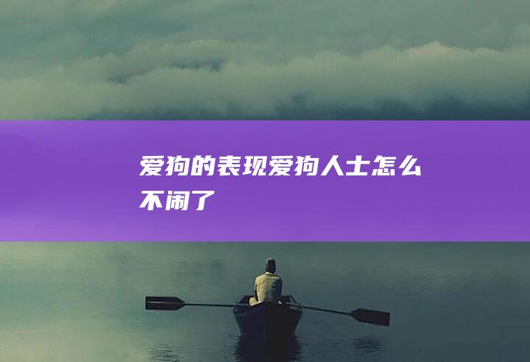 爱狗的表现(爱狗人士怎么不闹了)