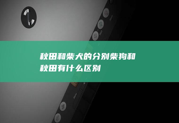 秋田和柴犬的分别(柴狗和秋田有什么区别)