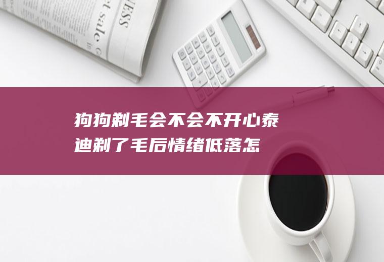 狗狗剃毛会不会不开心(泰迪剃了毛后情绪低落怎么办)