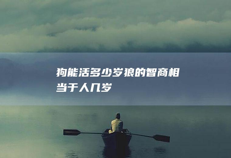 狗能活多少岁(狼的智商相当于人几岁)