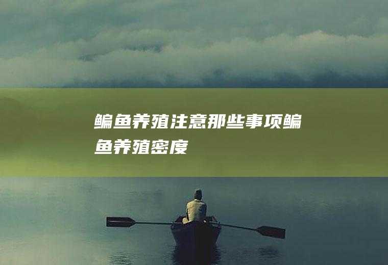 鳊鱼养殖注意那些事项(鳊鱼养殖密度)