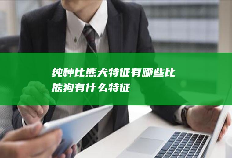 纯种比熊犬特征有哪些(比熊狗有什么特征)