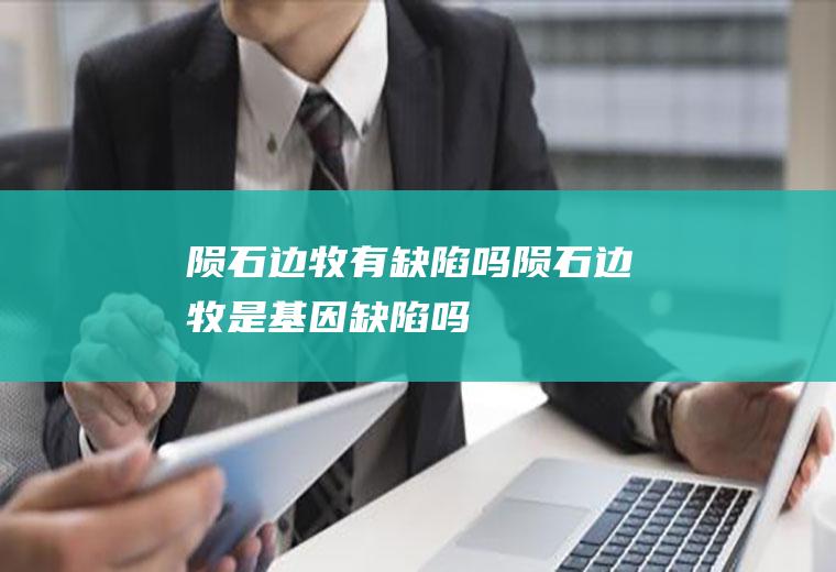 陨石边牧有缺陷吗(陨石边牧是基因缺陷吗)