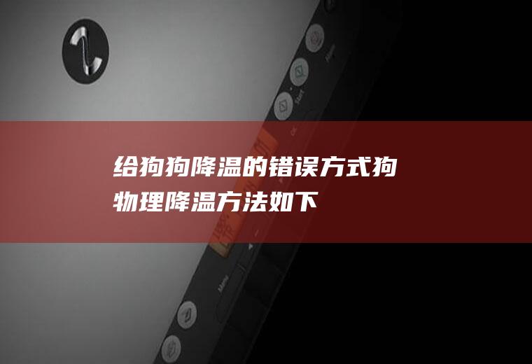 给狗狗降温的错误方式(狗物理降温方法如下)