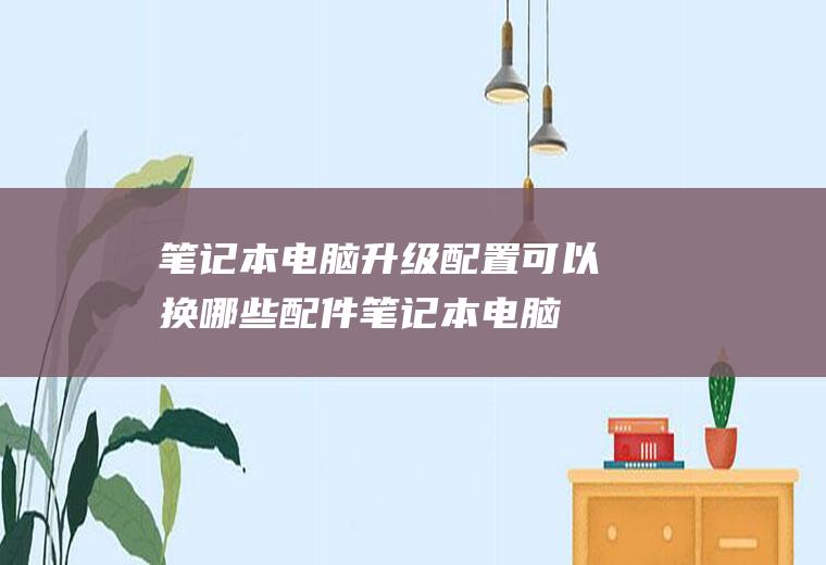 笔记本电脑升级配置可以换哪些配件(笔记本电脑卡可以换哪些配件)