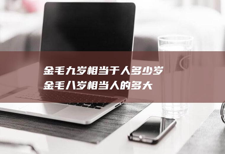 金毛九岁相当于人多少岁(金毛八岁相当人的多大)