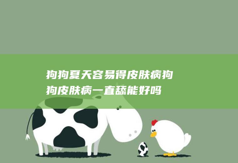 狗狗夏天容易得皮肤病(狗狗皮肤病一直舔能好吗)