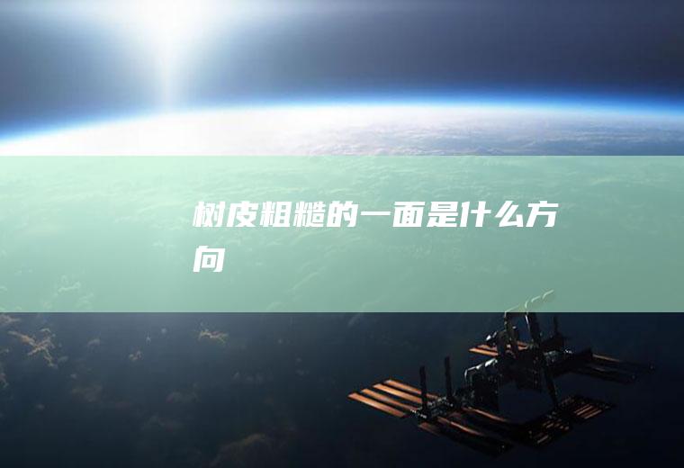 树皮粗糙的一面是什么方向