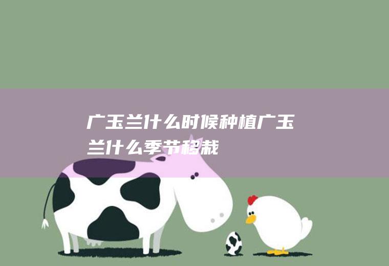 广玉兰什么时候种植(广玉兰什么季节移栽)