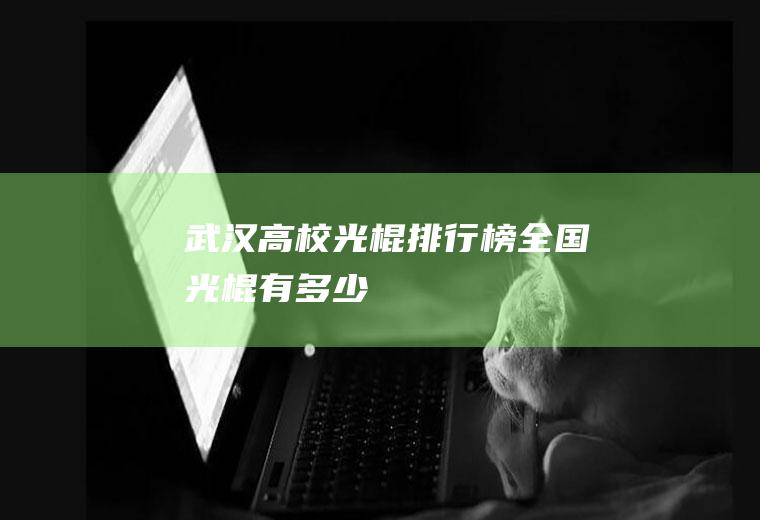 武汉高校光棍排行榜(全国光棍有多少)
