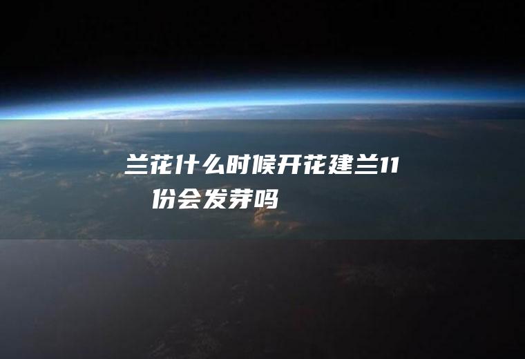 兰花什么时候开花(建兰11月份会发芽吗)