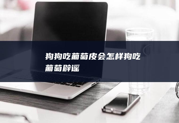 狗狗吃皮会怎样狗吃辟谣
