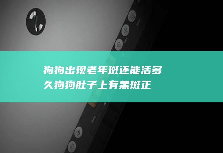 狗狗出现老年斑还能活多久(狗狗肚子上有黑斑正常吗)