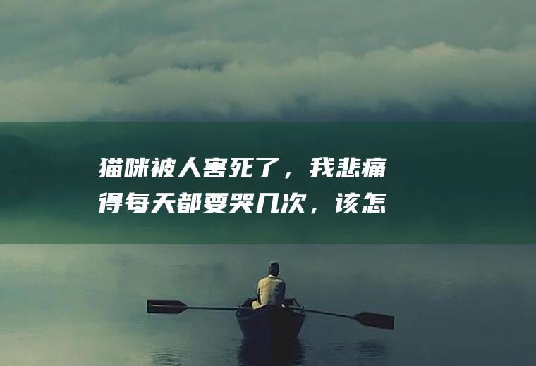 猫咪被人害死了，我悲痛得每天都要哭几次，该怎么走出这种痛苦