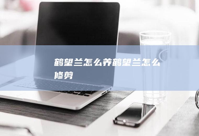鹤望兰怎么养(鹤望兰怎么修剪)