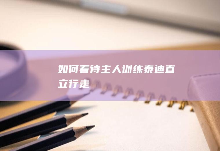 如何看待主人训练泰迪直立行走