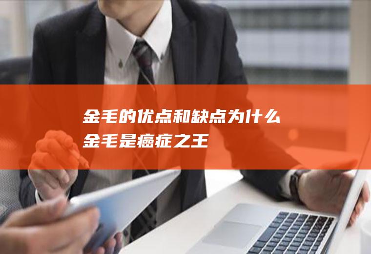 金毛的优点和缺点(为什么金毛是癌症之王)