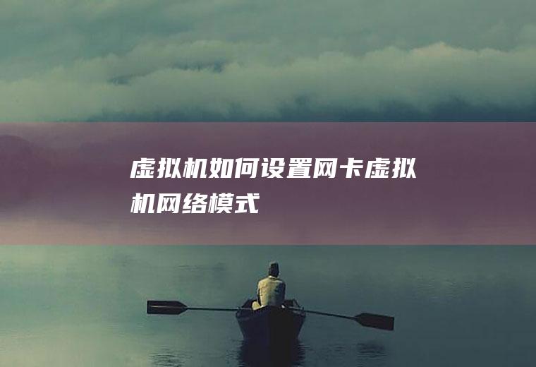 虚拟机如何设置网卡(虚拟机网络模式)