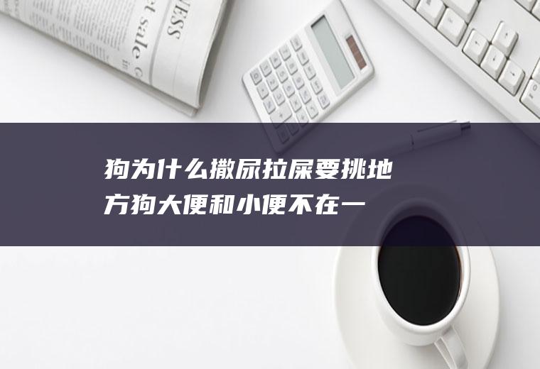 狗为什么撒尿拉屎要挑地方(狗大便和小便不在一处)