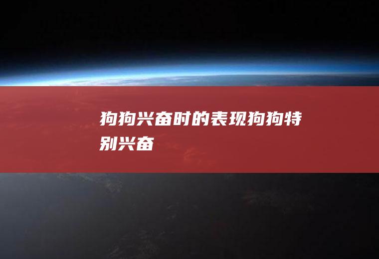 狗狗兴奋时的表现(狗狗特别兴奋)