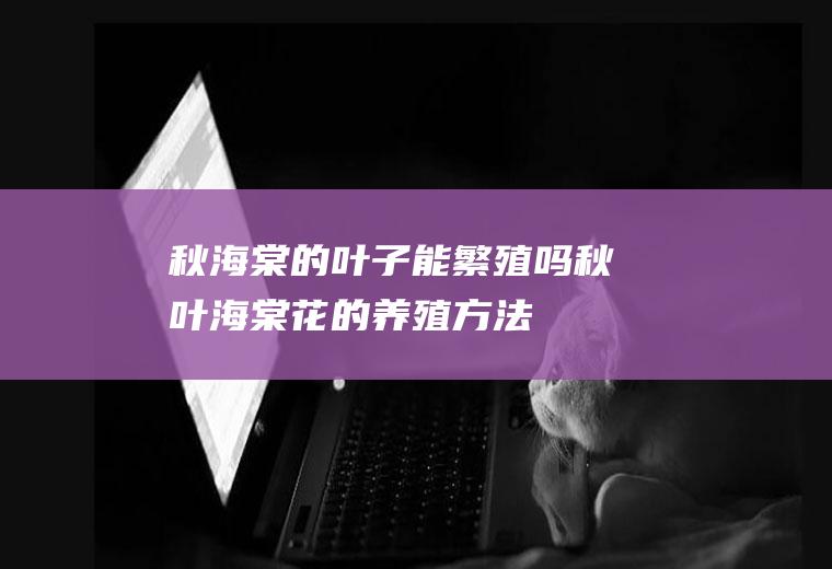 秋海棠的能繁殖吗秋叶海棠花的养殖方法